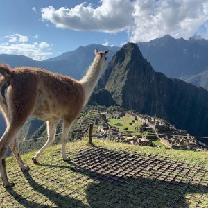 lares Trail Vs inca Quarry Trauil 2026