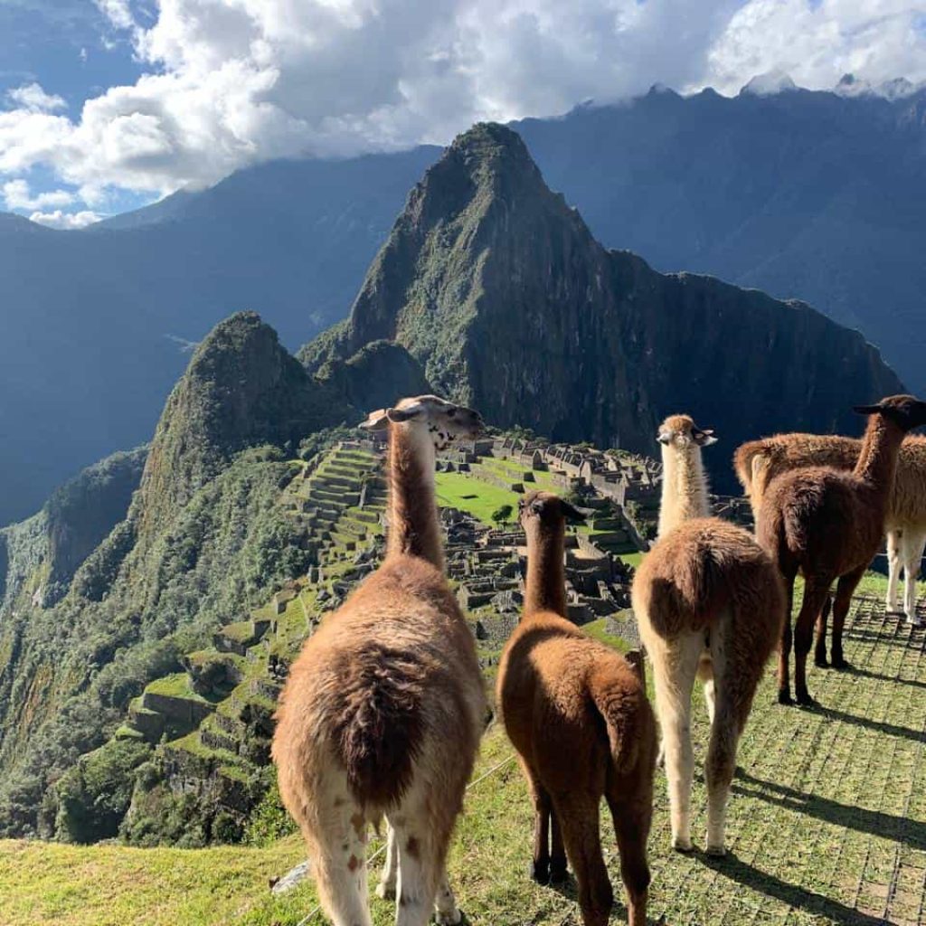 Manchu picchu and Rainbow mountain