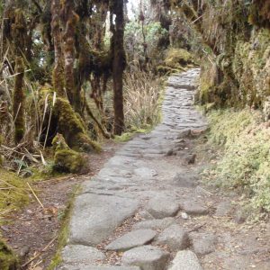 Inca Trail 4 Days to Ma chu picchu