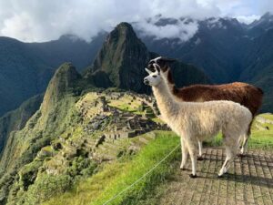 Inca Trail for Couple to Machu picchu in 2 Days