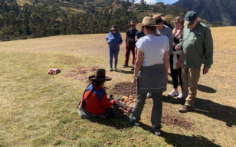 City Tour and machu picchu tours
